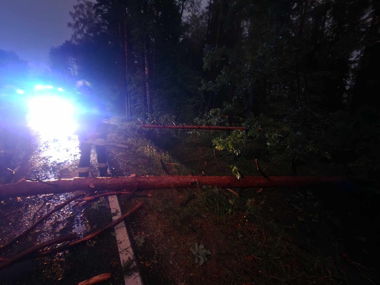 Usuwanie skutków nawałnicy w Czarni [17.07.2024] - zdjęcie #7 - eOstroleka.pl