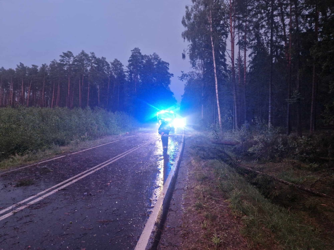 Usuwanie skutków nawałnicy w Czarni [17.07.2024] - zdjęcie #5 - eOstroleka.pl