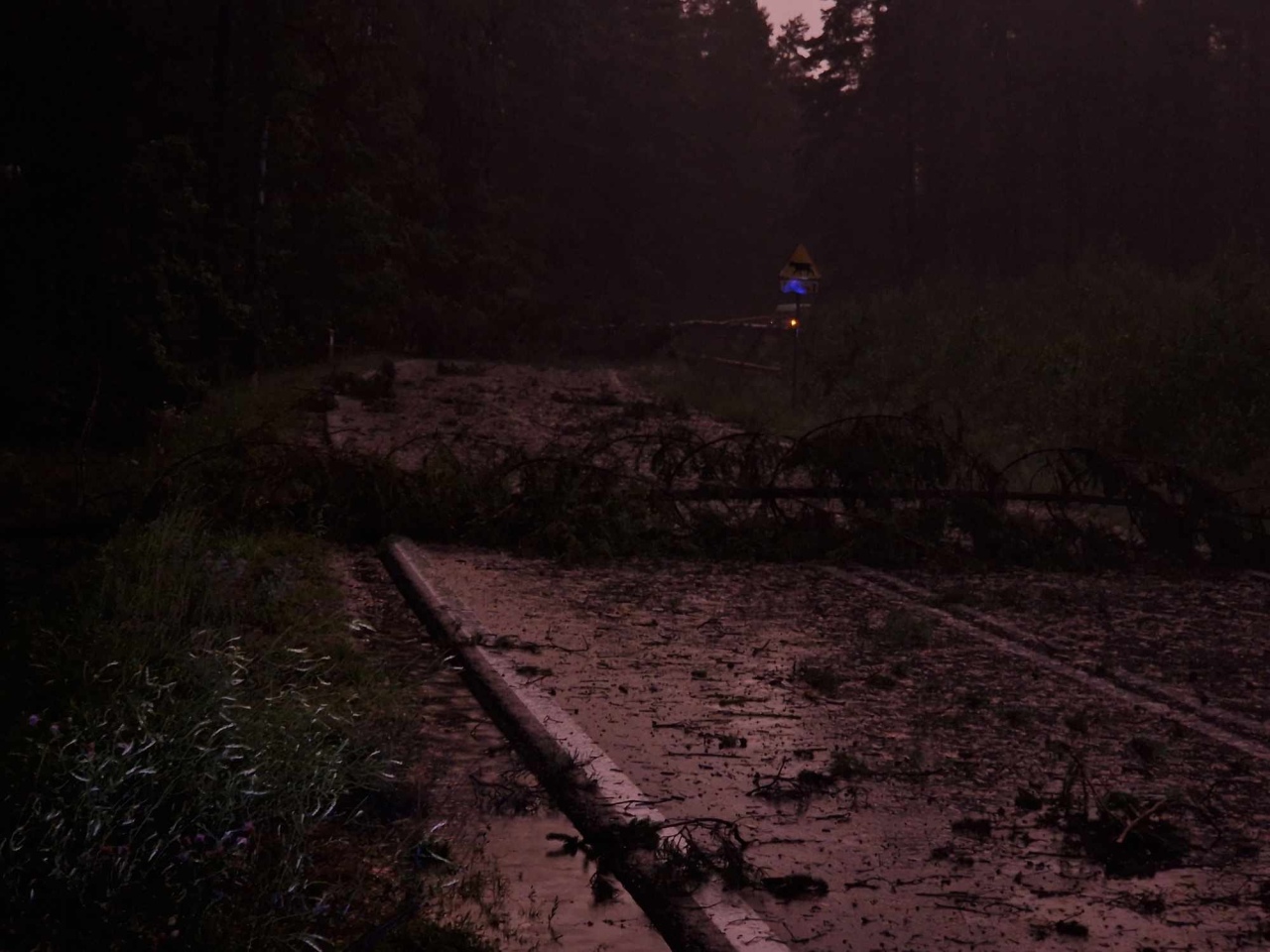 Usuwanie skutków nawałnicy w Czarni [17.07.2024] - zdjęcie #4 - eOstroleka.pl