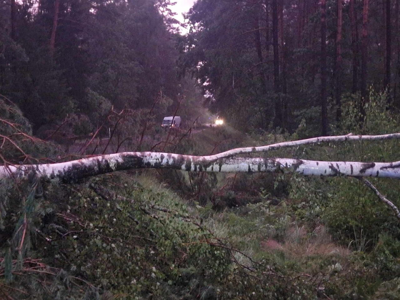 Usuwanie skutków nawałnicy w Czarni [17.07.2024] - zdjęcie #3 - eOstroleka.pl