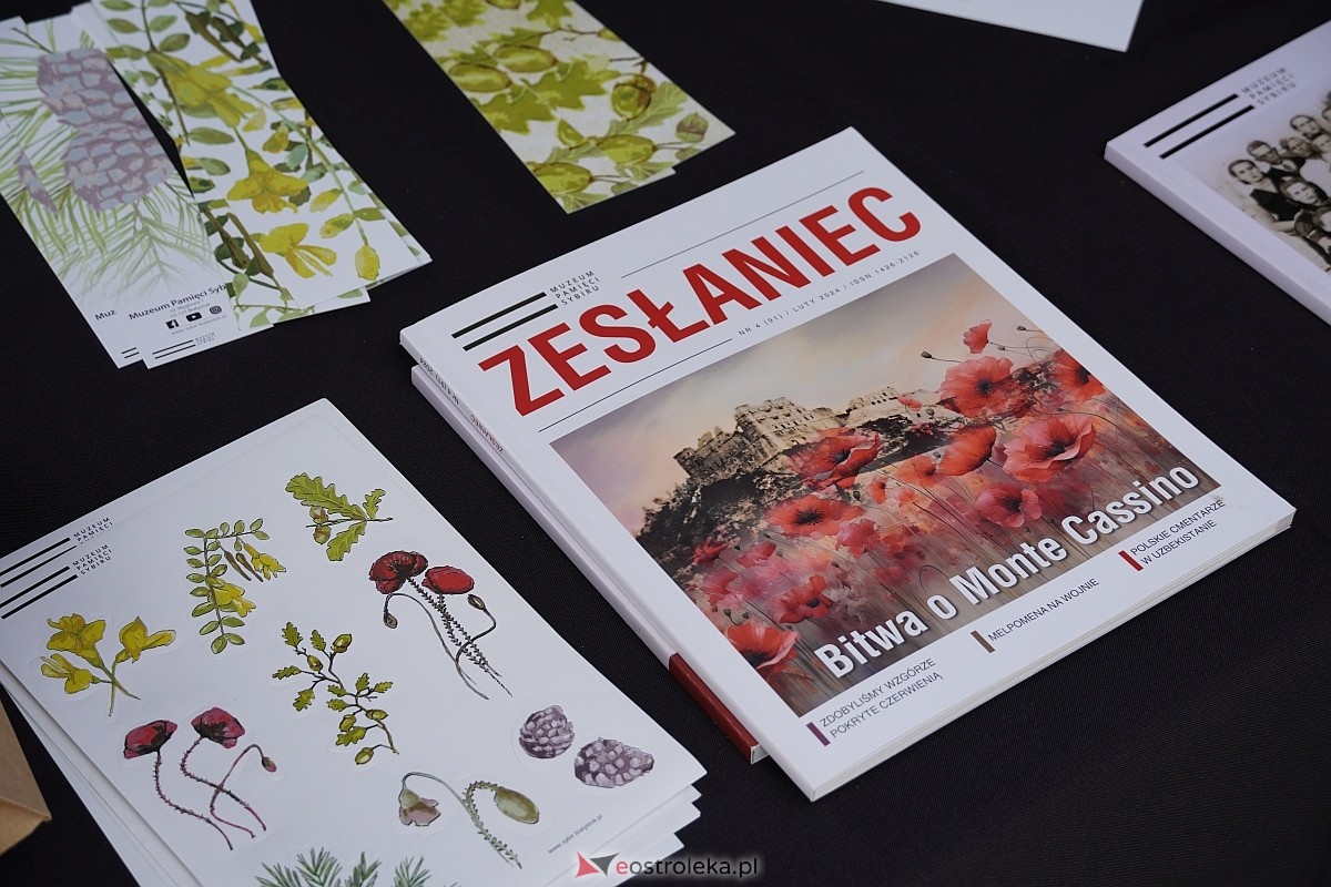 Instalacja RzeczyViste w Ostrołęce [18.07.2024] - zdjęcie #19 - eOstroleka.pl
