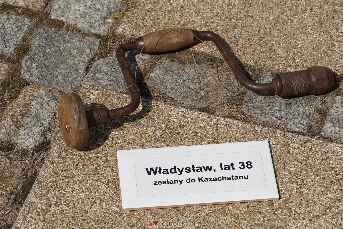 Instalacja RzeczyViste w Ostrołęce [18.07.2024] - zdjęcie #8 - eOstroleka.pl