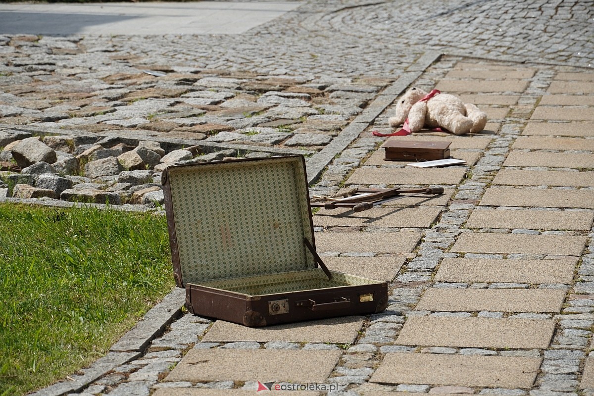 Instalacja RzeczyViste w Ostrołęce [18.07.2024] - zdjęcie #2 - eOstroleka.pl