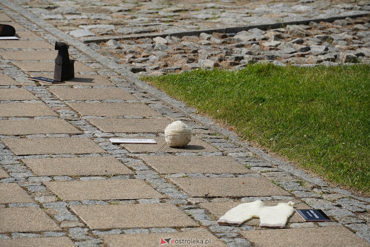 Instalacja RzeczyViste w Ostrołęce [18.07.2024] - zdjęcie #1 - eOstroleka.pl