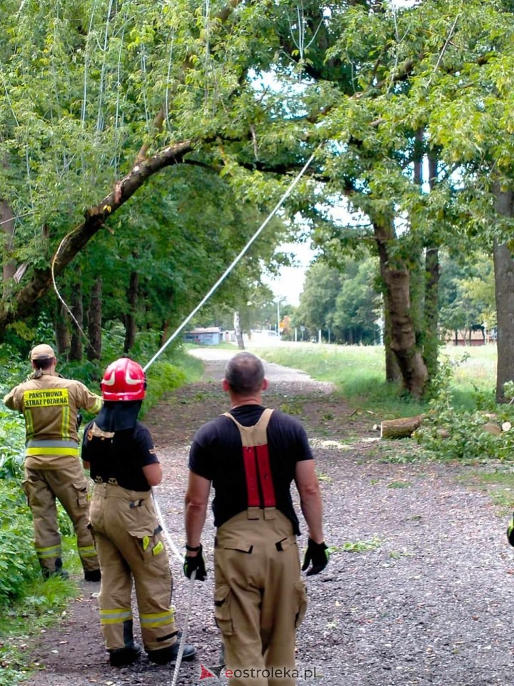 Nawałnica w Ostrołęce: dwa dni usuwania szkód [18.07.2024] - zdjęcie #5 - eOstroleka.pl