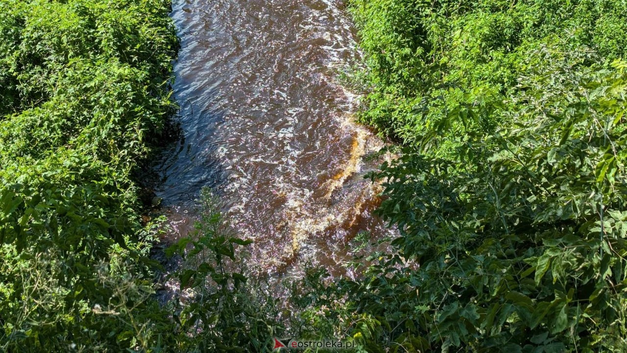 Awaria w Stora Enso i wyciek barwnika do Narwi w Ostrołęce [20.07.2024] - zdjęcie #19 - eOstroleka.pl