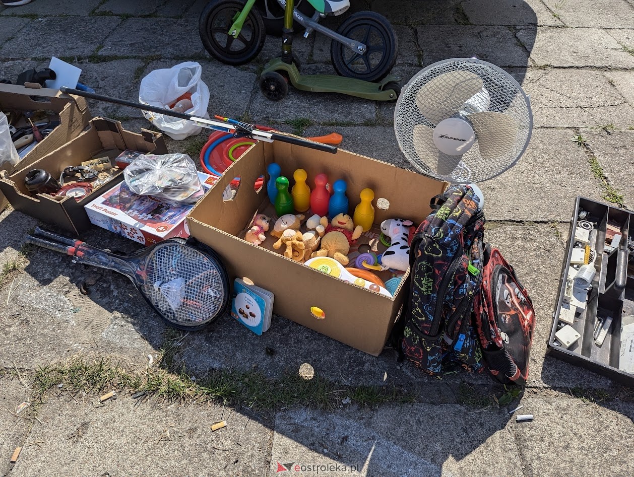 Pchli targ w Ostrołęce [20.07.2024] - zdjęcie #158 - eOstroleka.pl