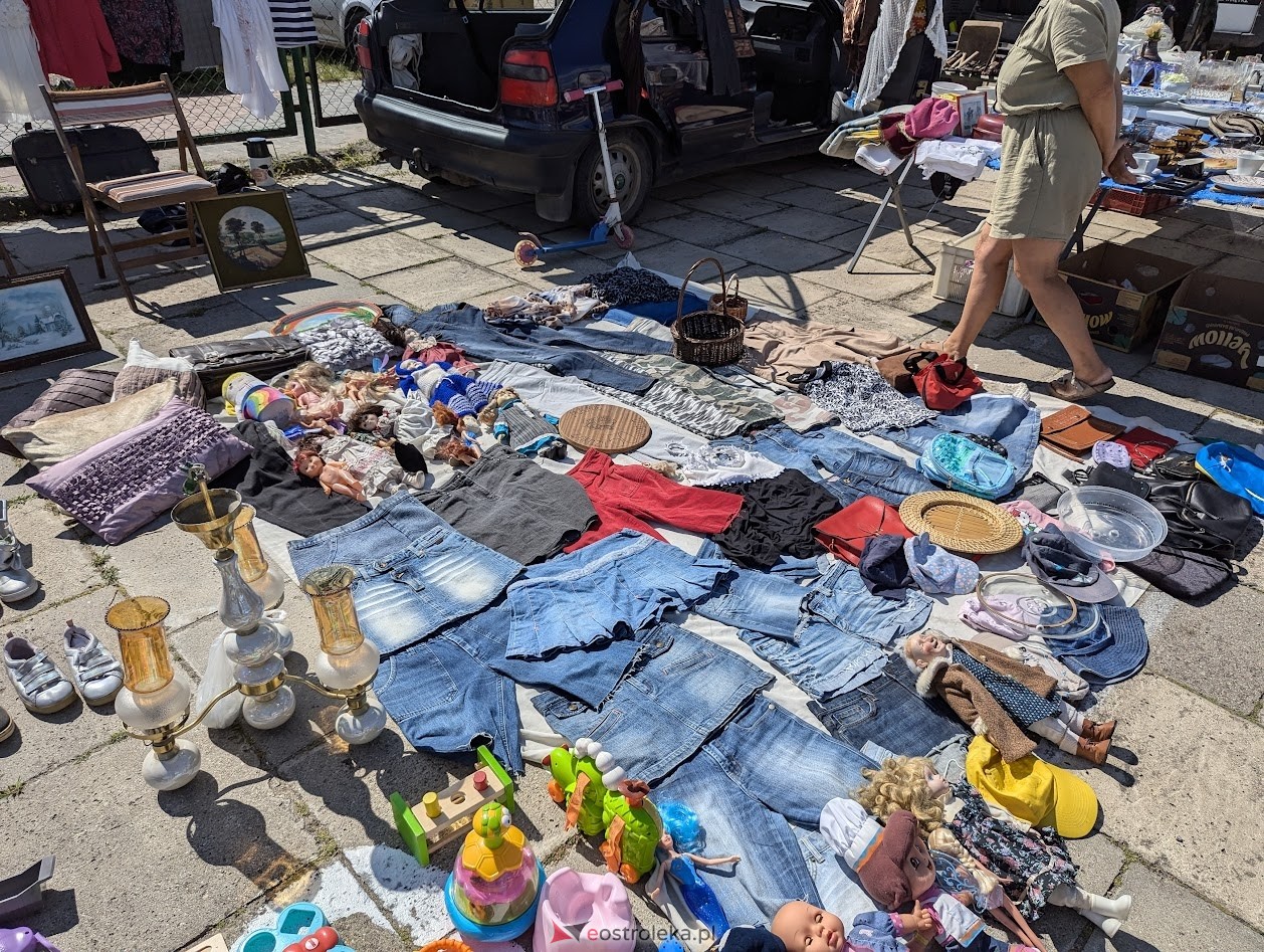 Pchli targ w Ostrołęce [20.07.2024] - zdjęcie #64 - eOstroleka.pl