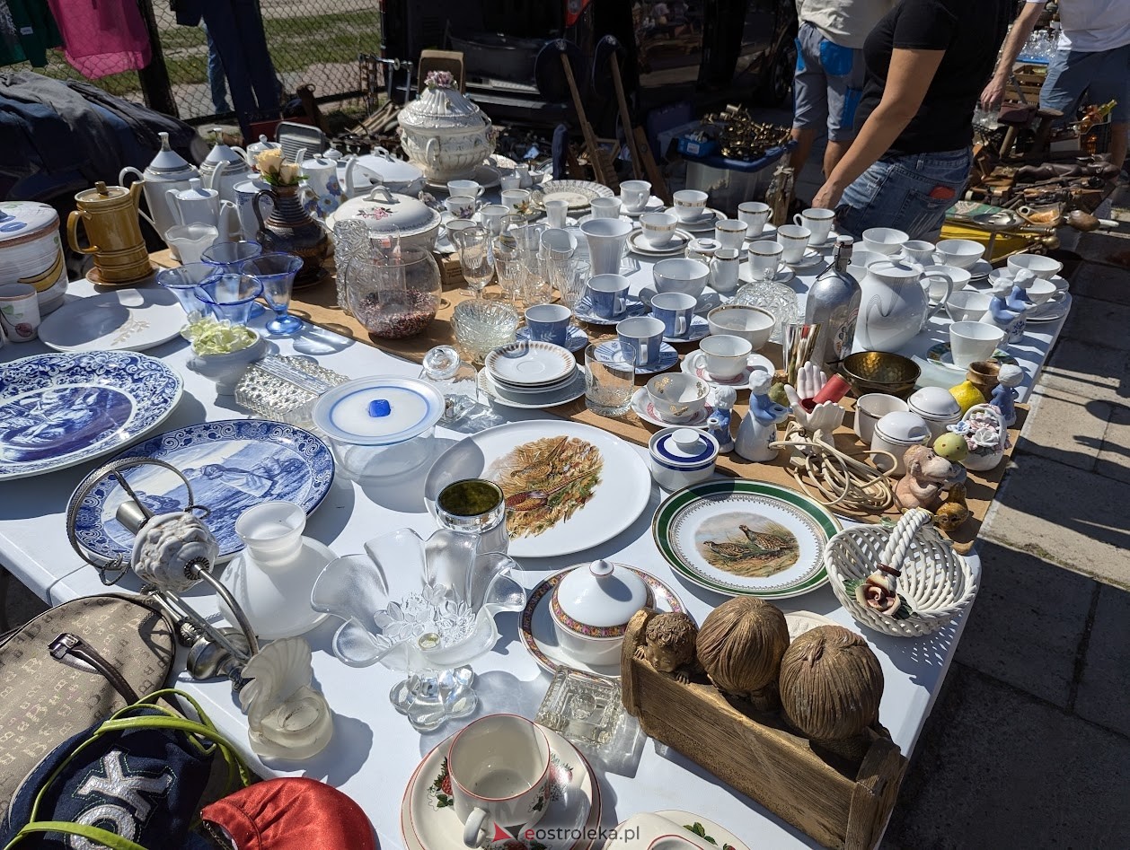 Pchli targ w Ostrołęce [20.07.2024] - zdjęcie #59 - eOstroleka.pl