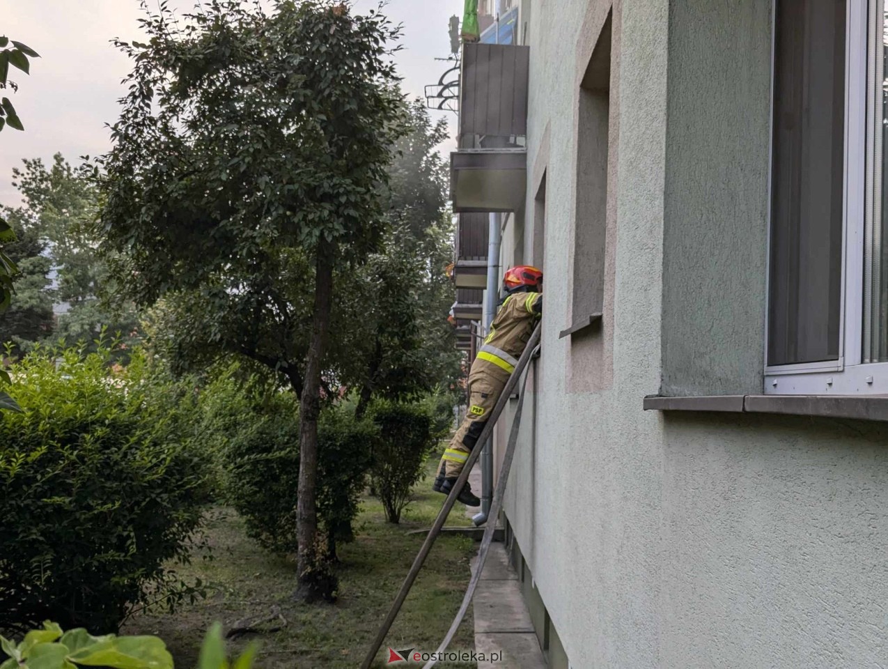 Interwencja strażaków przy Chętnika [26.07.2024] - zdjęcie #3 - eOstroleka.pl