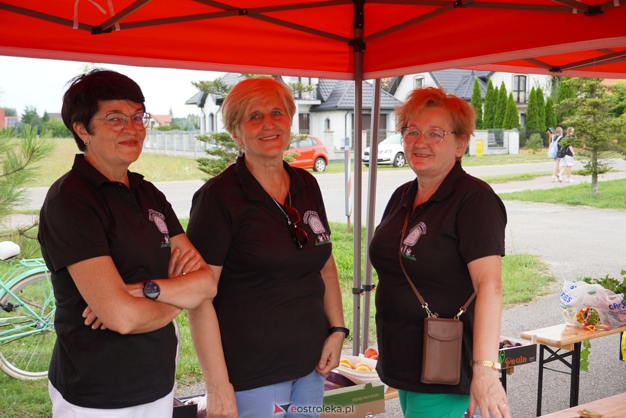 Piknik profilaktyczny z kinem plenerowym w Olszewie-Borkach [27.07.2024] - zdjęcie #35 - eOstroleka.pl