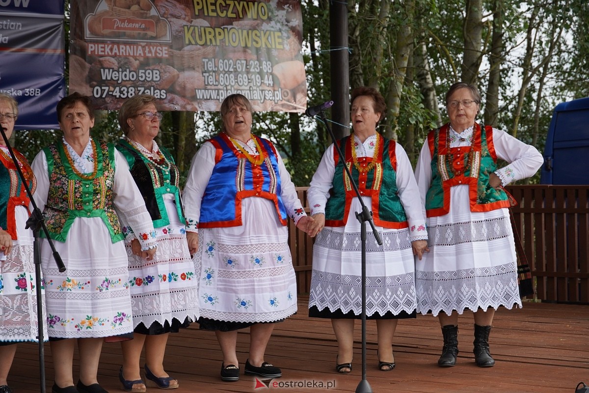 Piknik rodzinny w Babie - zdjęcie #86 - eOstroleka.pl