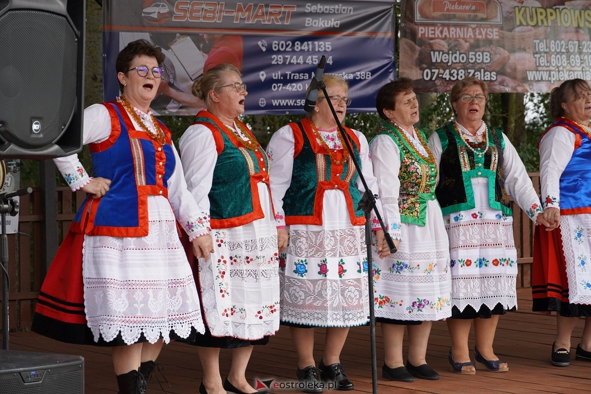 Piknik rodzinny w Babie - zdjęcie #85 - eOstroleka.pl