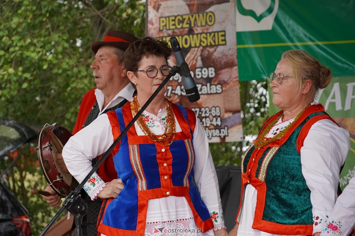 Piknik rodzinny w Babie - zdjęcie #81 - eOstroleka.pl