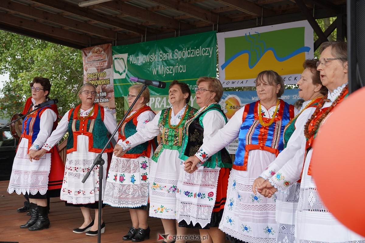 Piknik rodzinny w Babie - zdjęcie #76 - eOstroleka.pl