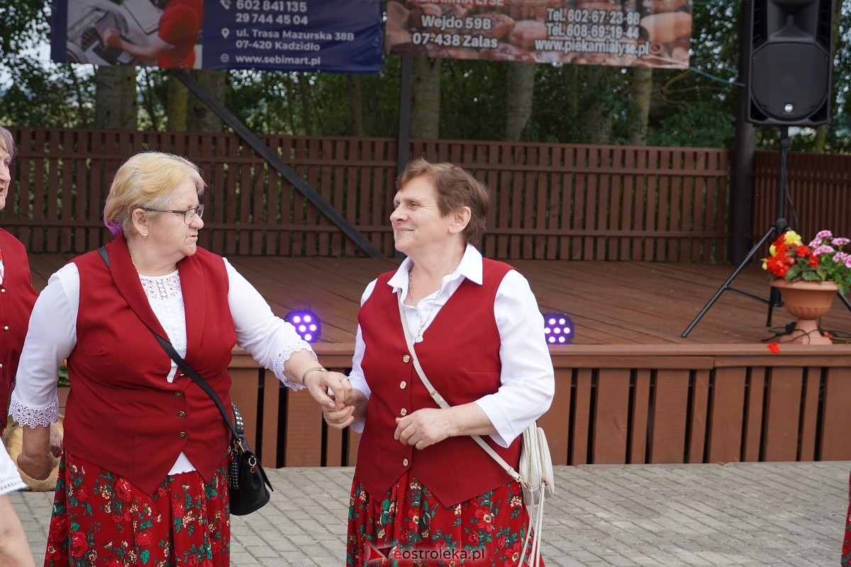 Piknik rodzinny w Babie - zdjęcie #2 - eOstroleka.pl