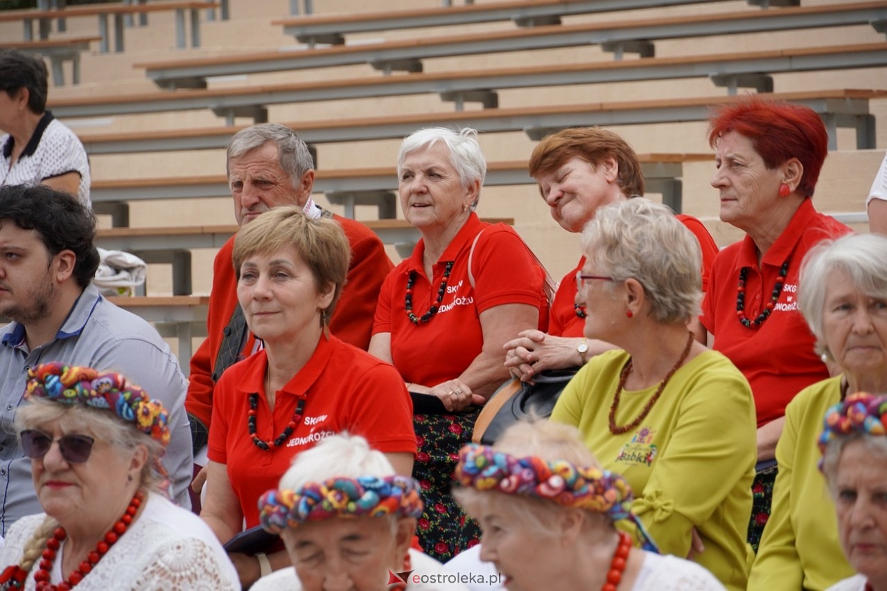 Przegląd piosenki klubów seniora w Baranowie [28.07.2024] - zdjęcie #84 - eOstroleka.pl