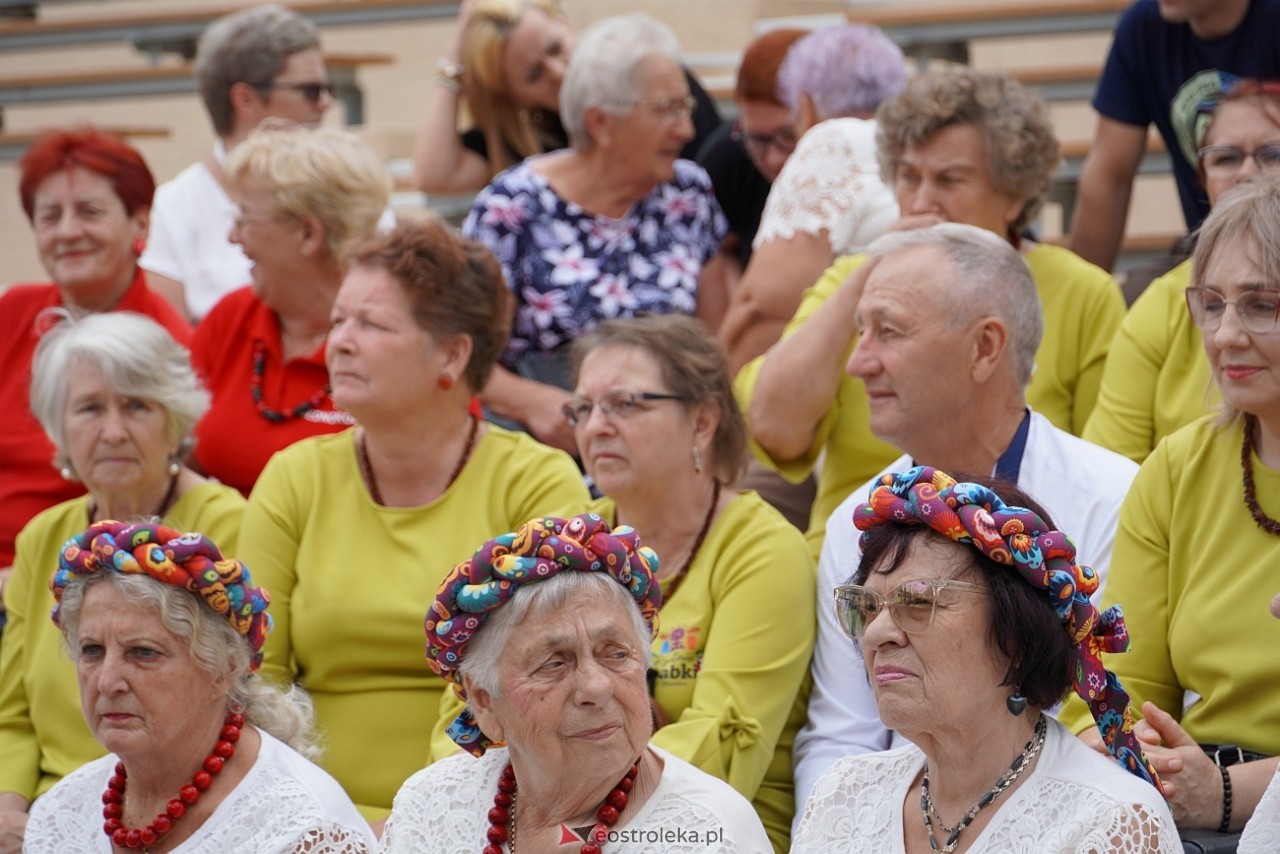 Przegląd piosenki klubów seniora w Baranowie [28.07.2024] - zdjęcie #82 - eOstroleka.pl