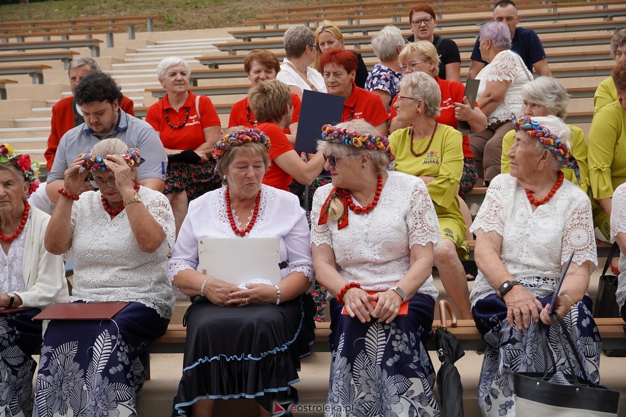 Przegląd piosenki klubów seniora w Baranowie [28.07.2024] - zdjęcie #79 - eOstroleka.pl