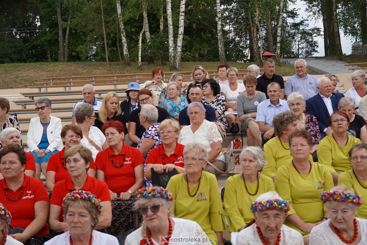 Przegląd piosenki klubów seniora w Baranowie [28.07.2024] - zdjęcie #60 - eOstroleka.pl