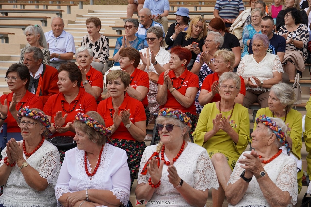 Przegląd piosenki klubów seniora w Baranowie [28.07.2024] - zdjęcie #46 - eOstroleka.pl