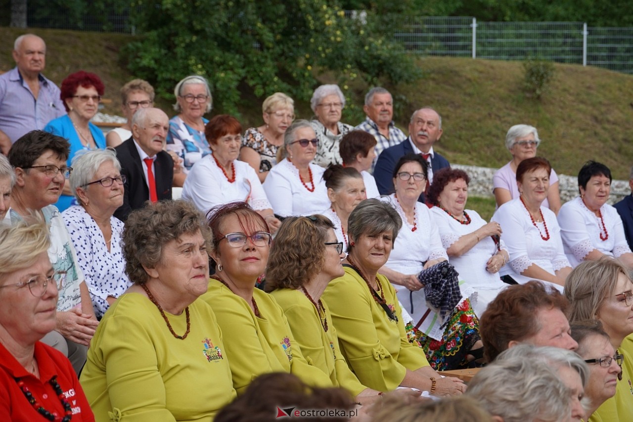 Przegląd piosenki klubów seniora w Baranowie [28.07.2024] - zdjęcie #31 - eOstroleka.pl