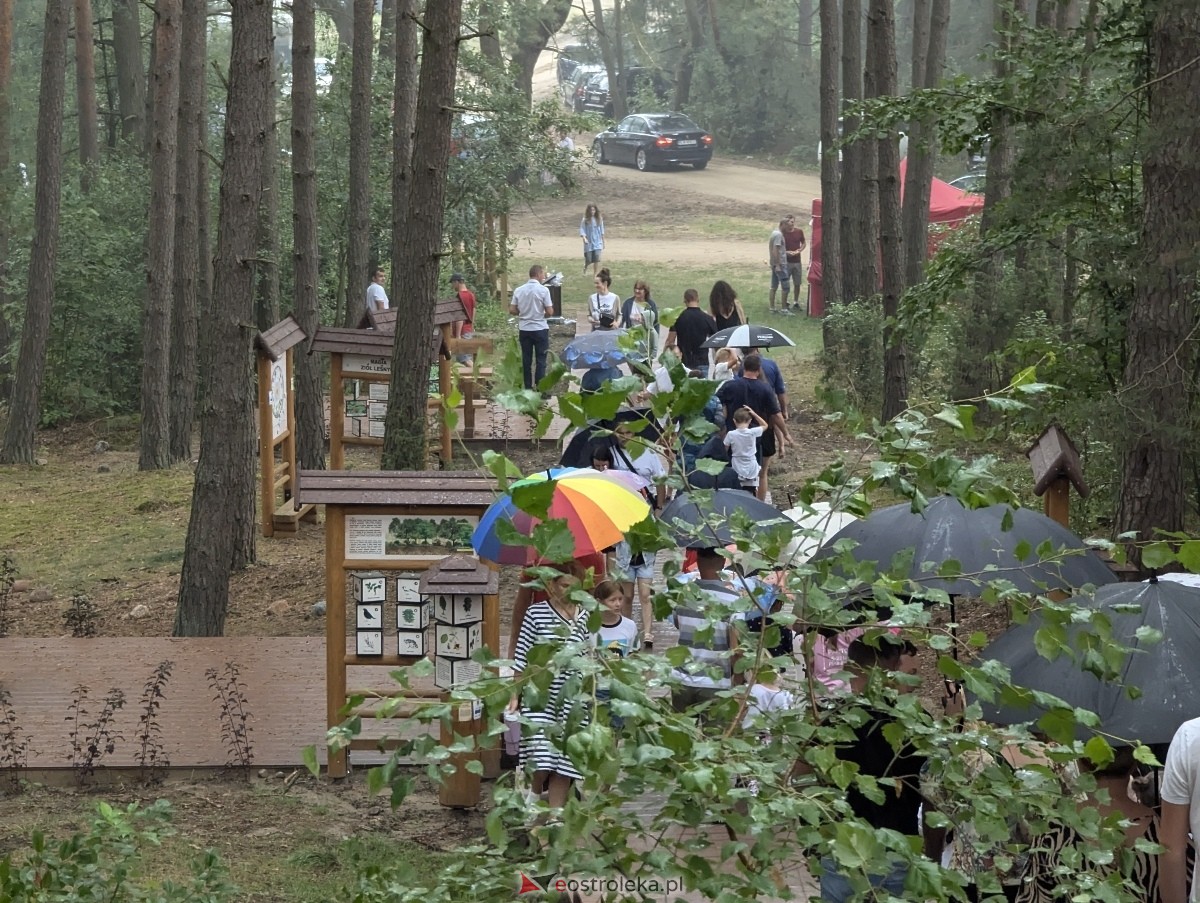 Odpust ku czci św. Anny w Kamiance [28.07.2024] - zdjęcie #33 - eOstroleka.pl