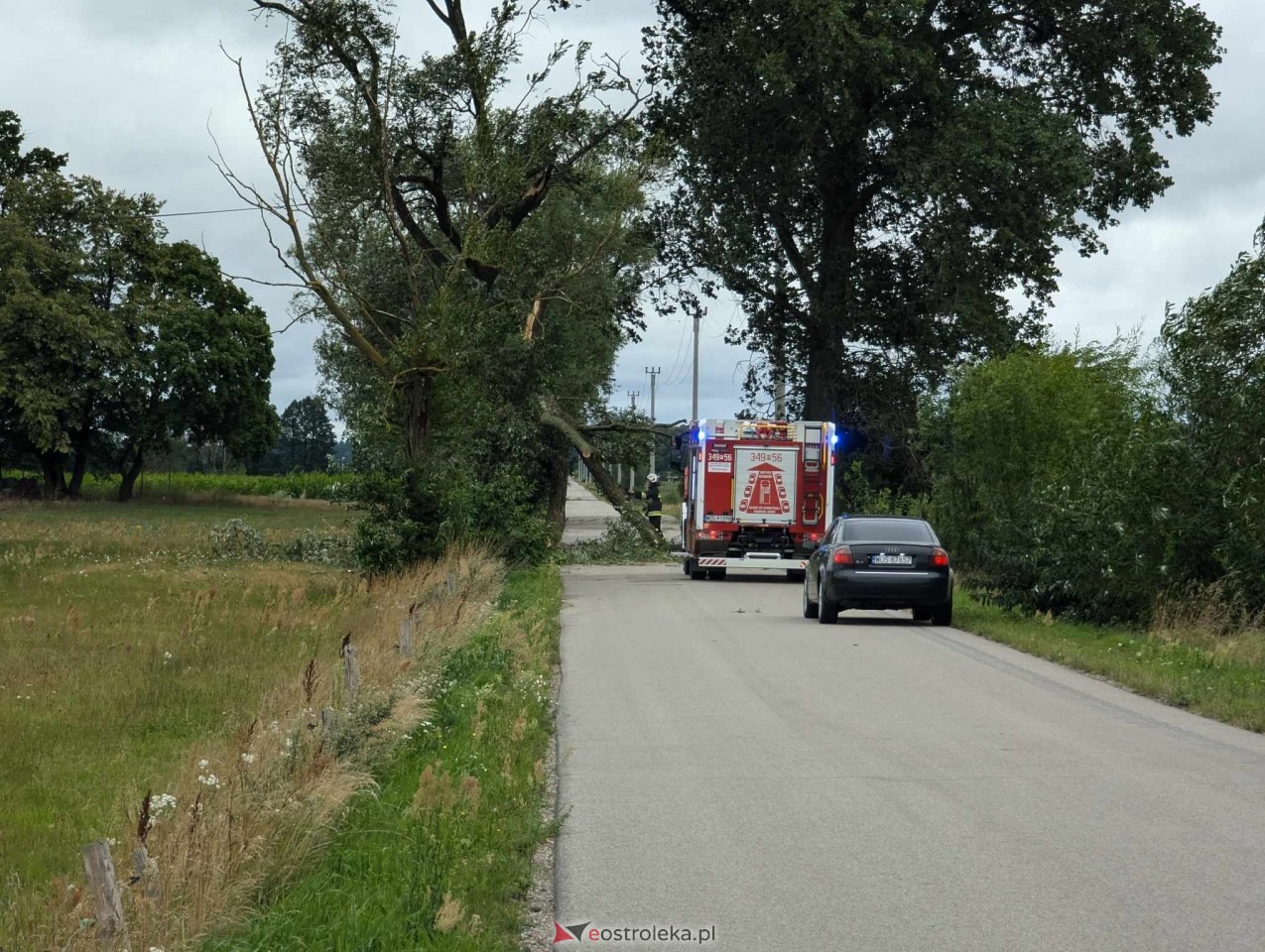 Wichura w powiecie ostrołęckim [28.07.2024] - zdjęcie #11 - eOstroleka.pl