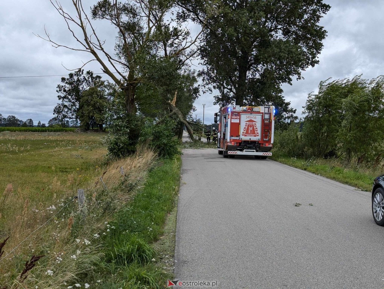 Wichura w powiecie ostrołęckim [28.07.2024] - zdjęcie #9 - eOstroleka.pl