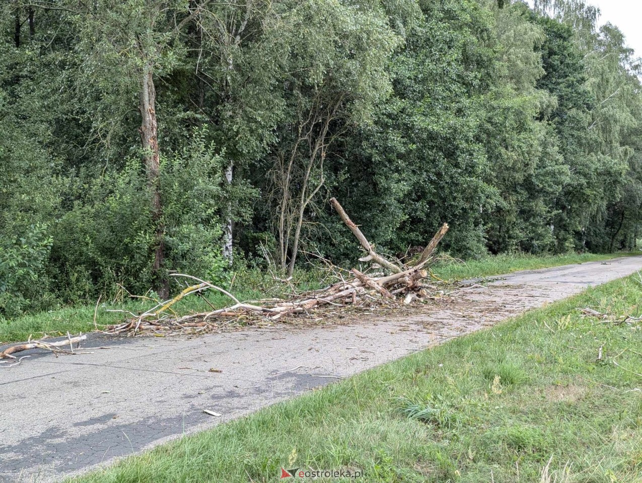 Wichura w powiecie ostrołęckim [28.07.2024] - zdjęcie #2 - eOstroleka.pl