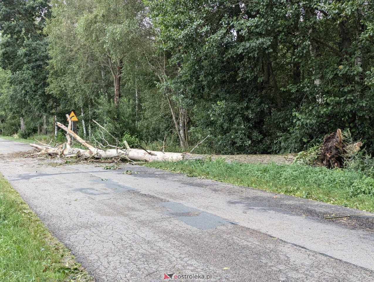Wichura w powiecie ostrołęckim [28.07.2024] - zdjęcie #8 - eOstroleka.pl