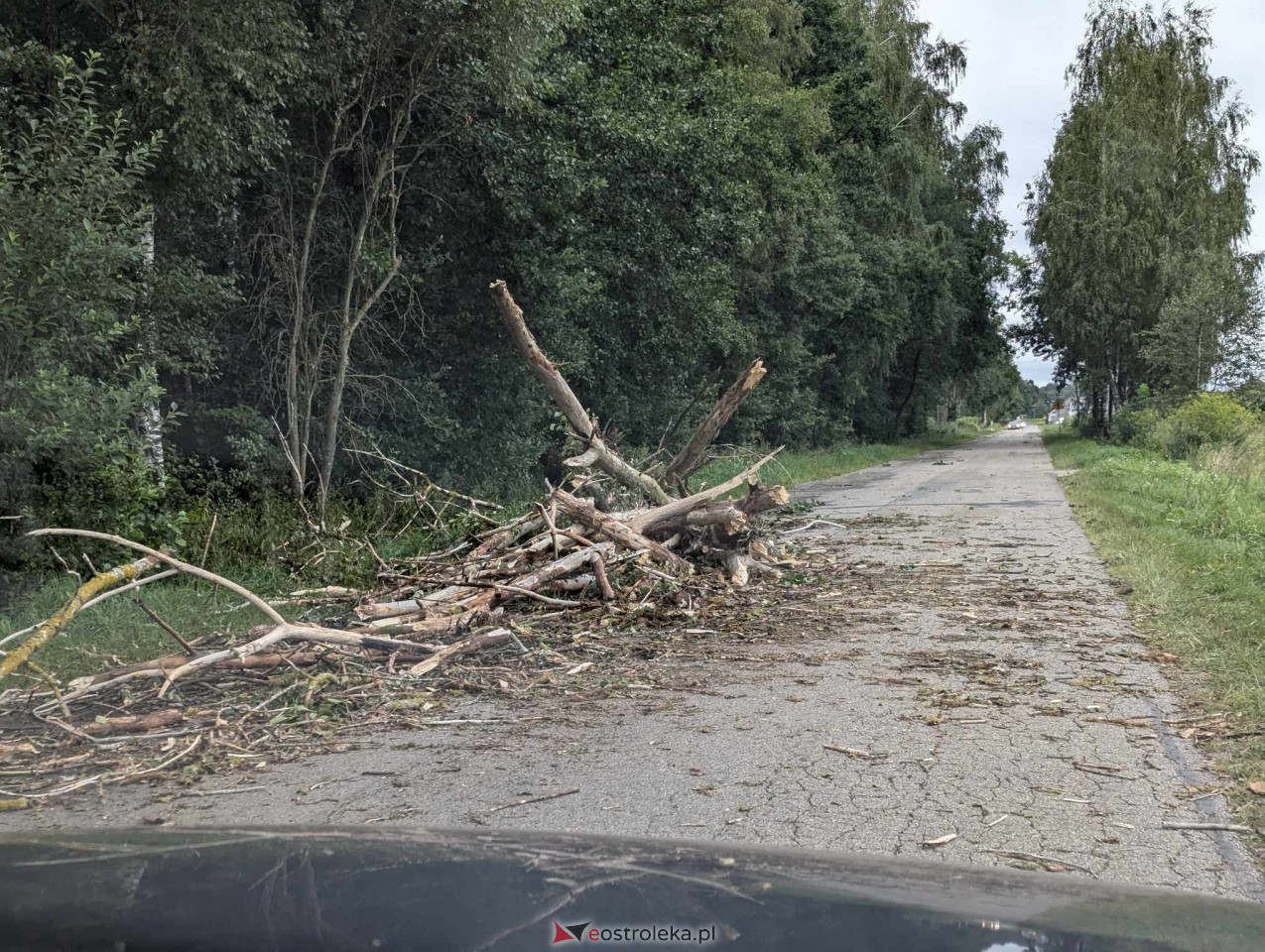 Wichura w powiecie ostrołęckim [28.07.2024] - zdjęcie #3 - eOstroleka.pl