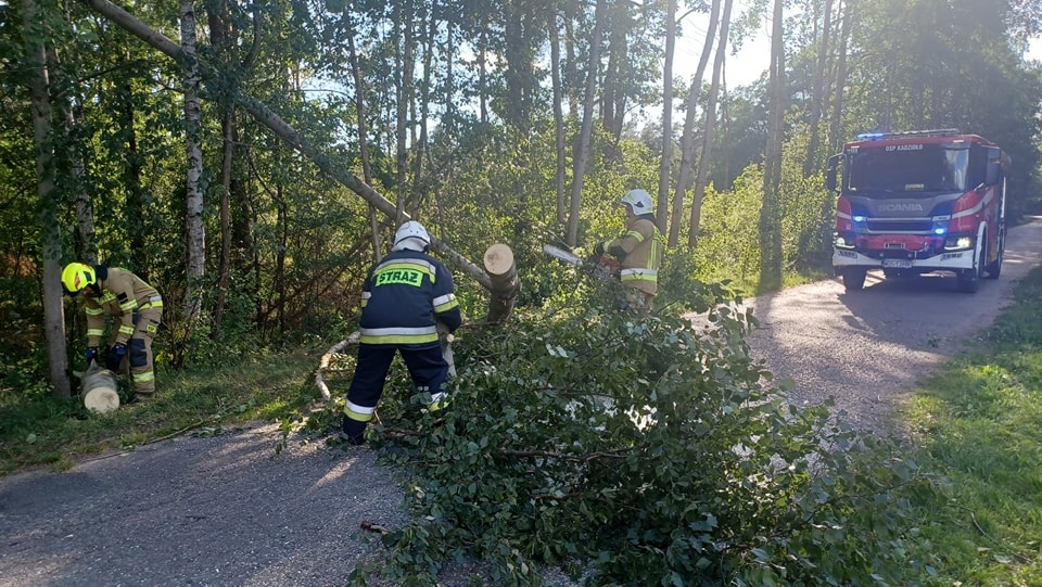 Drugi dzień usuwania skutków nawałcni w Ostrołęce i okolicach [30.07.2024] - zdjęcie #13 - eOstroleka.pl