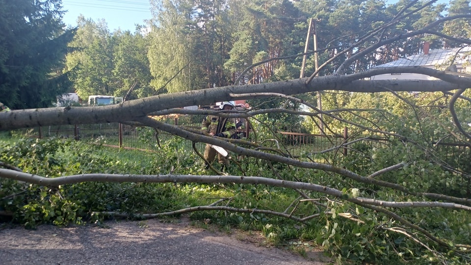 Drugi dzień usuwania skutków nawałcni w Ostrołęce i okolicach [30.07.2024] - zdjęcie #12 - eOstroleka.pl