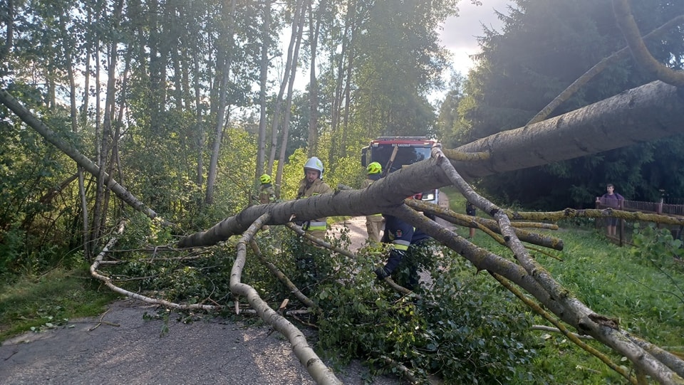 Drugi dzień usuwania skutków nawałcni w Ostrołęce i okolicach [30.07.2024] - zdjęcie #8 - eOstroleka.pl