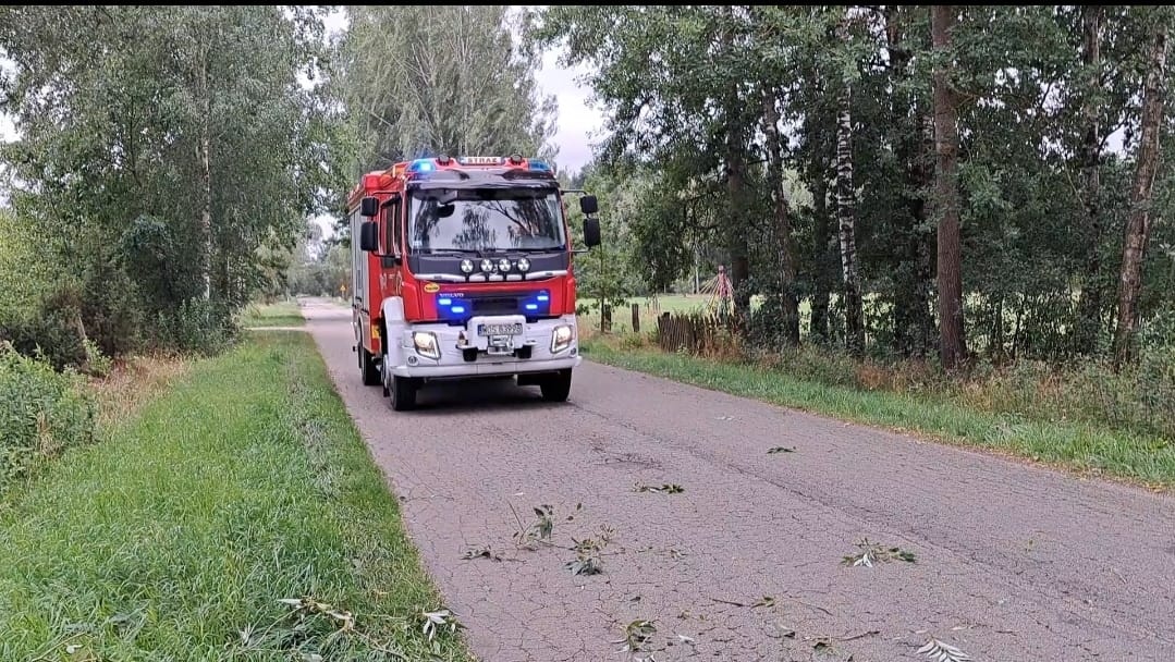 Drugi dzień usuwania skutków nawałcni w Ostrołęce i okolicach [30.07.2024] - zdjęcie #7 - eOstroleka.pl