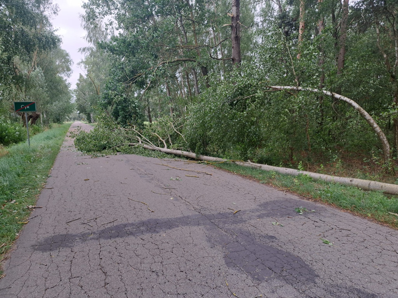 Drugi dzień usuwania skutków nawałcni w Ostrołęce i okolicach [30.07.2024] - zdjęcie #3 - eOstroleka.pl