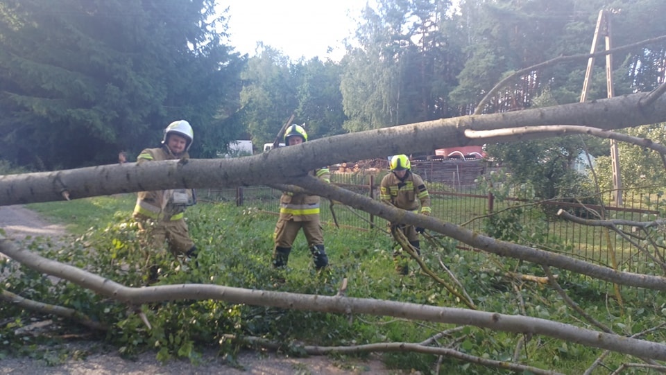 Drugi dzień usuwania skutków nawałcni w Ostrołęce i okolicach [30.07.2024] - zdjęcie #2 - eOstroleka.pl