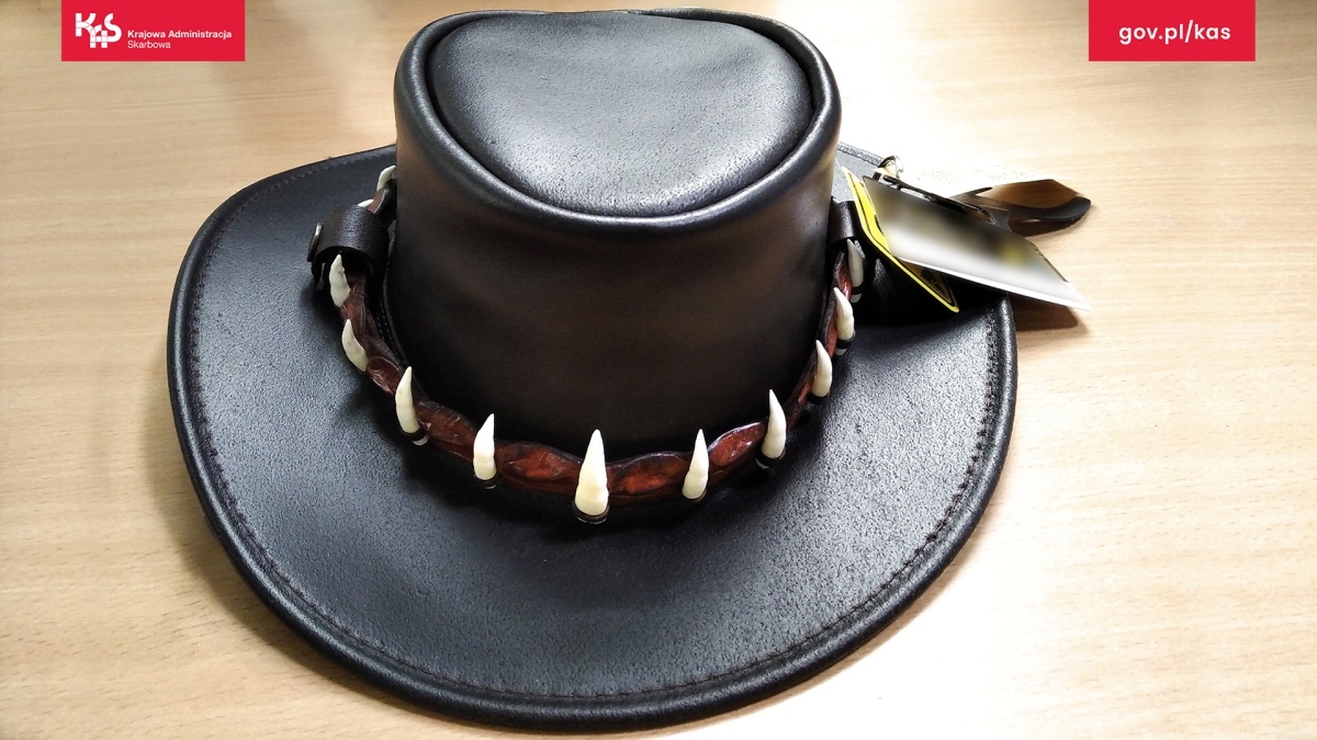 Egzotyczne skarby w walizkach? Mazowiecka KAS odkrywa przemyt chronionych gatunków - zdjęcie #8 - eOstroleka.pl