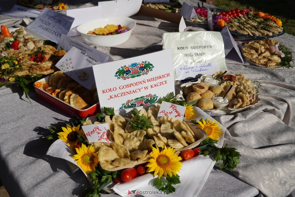 5. Festiwal Pieroga w Żabinie [03.08.2024] - zdjęcie #134 - eOstroleka.pl