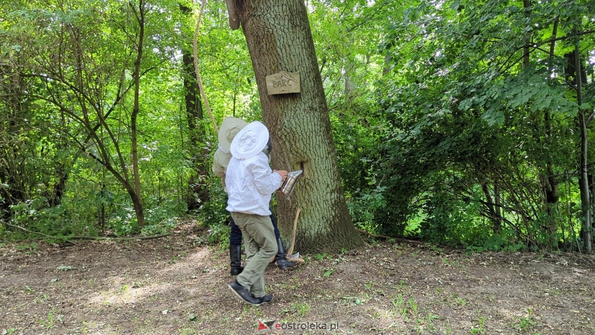 Przemienienie Pańskie w Brodowych Łąkach [04.08.2024] - zdjęcie #2 - eOstroleka.pl