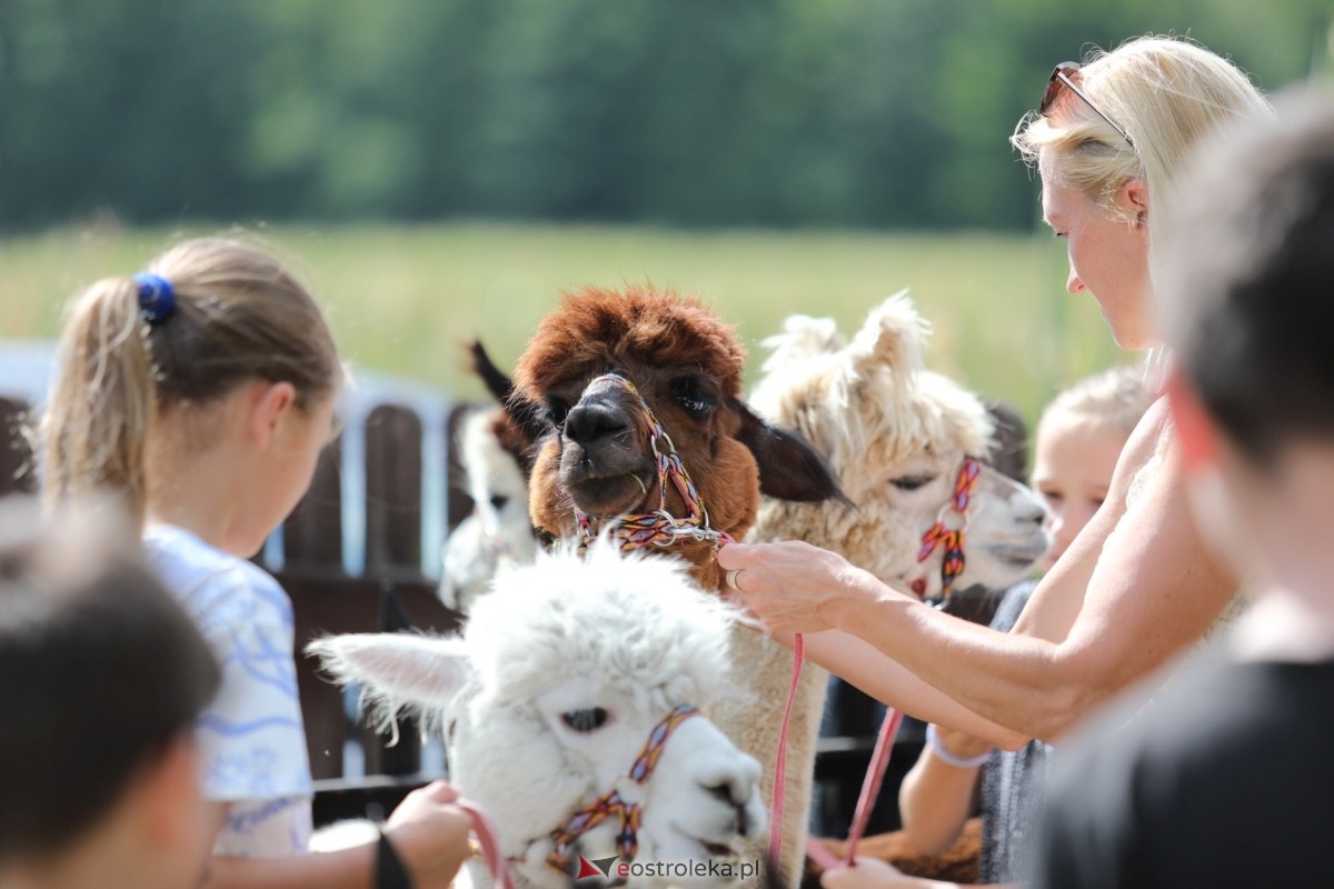 Golanka bawiła się w rytmie lata [04.08.2024] - zdjęcie #20 - eOstroleka.pl
