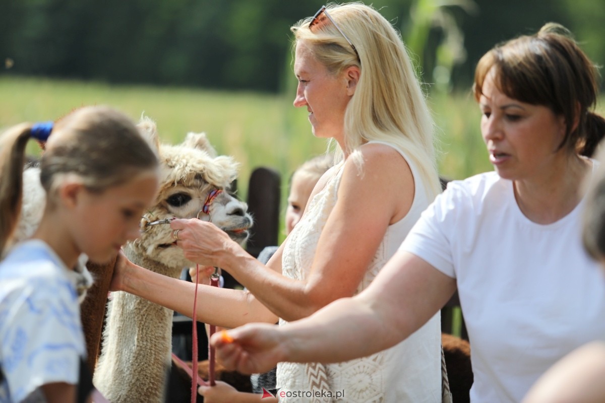 Golanka bawiła się w rytmie lata [04.08.2024] - zdjęcie #19 - eOstroleka.pl