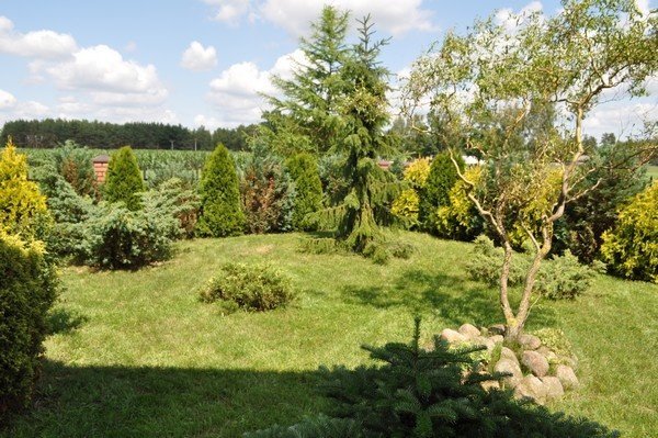 Łyse: Rozstrzygnięcie konkursu Najpiękniejsza zagroda wiejska 2011 w Gminie Łyse (ZDJĘCIA) - zdjęcie #27 - eOstroleka.pl