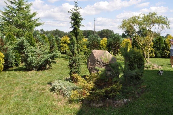 Łyse: Rozstrzygnięcie konkursu Najpiękniejsza zagroda wiejska 2011 w Gminie Łyse (ZDJĘCIA) - zdjęcie #25 - eOstroleka.pl