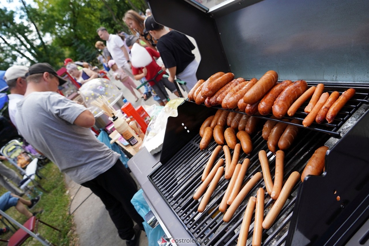 Piknik Radosne Wakacje w Parku Miejskim [10.08.2024] - zdjęcie #31 - eOstroleka.pl