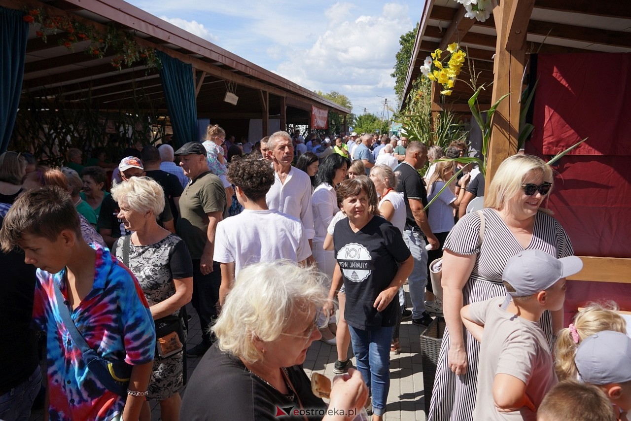 Jarmarki Czerwińskie 2024 [11.08.2024] - zdjęcie #26 - eOstroleka.pl