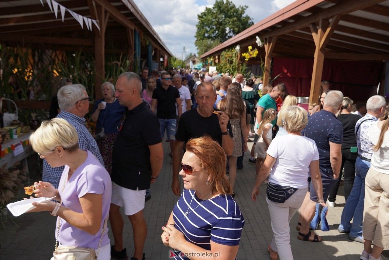 Jarmarki Czerwińskie 2024 [11.08.2024] - zdjęcie #5 - eOstroleka.pl