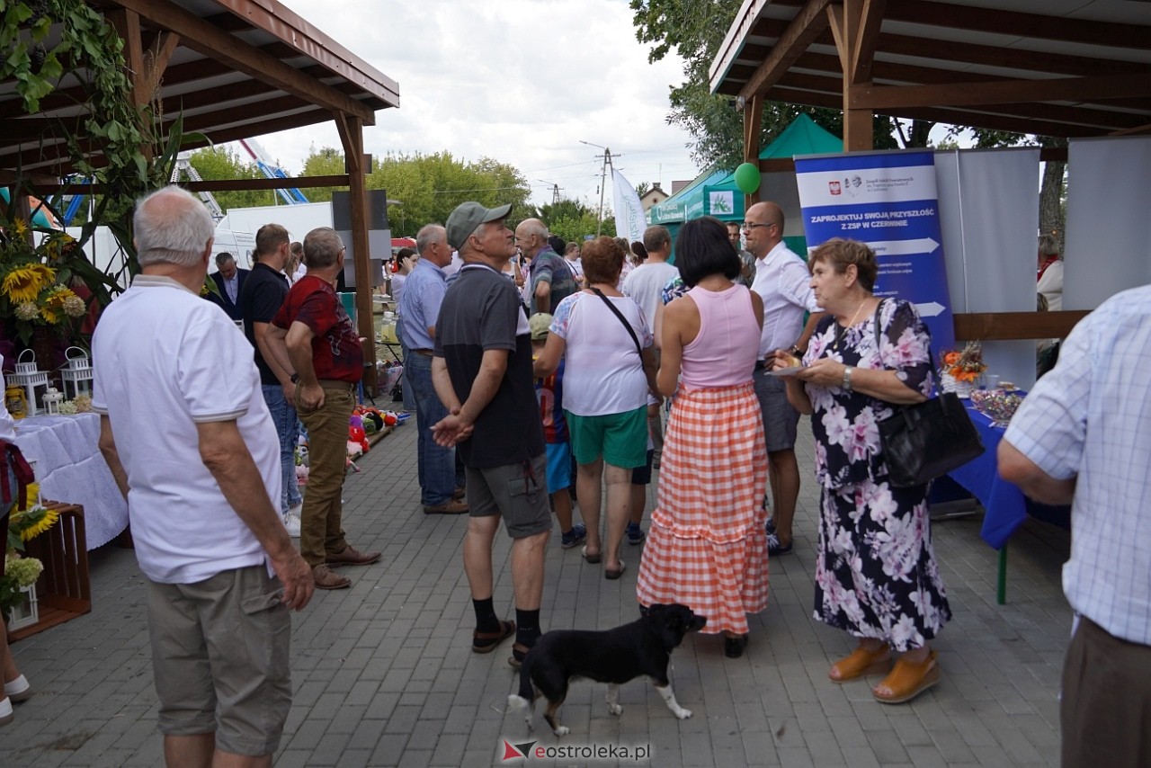 Jarmarki Czerwińskie 2024 [11.08.2024] - zdjęcie #3 - eOstroleka.pl