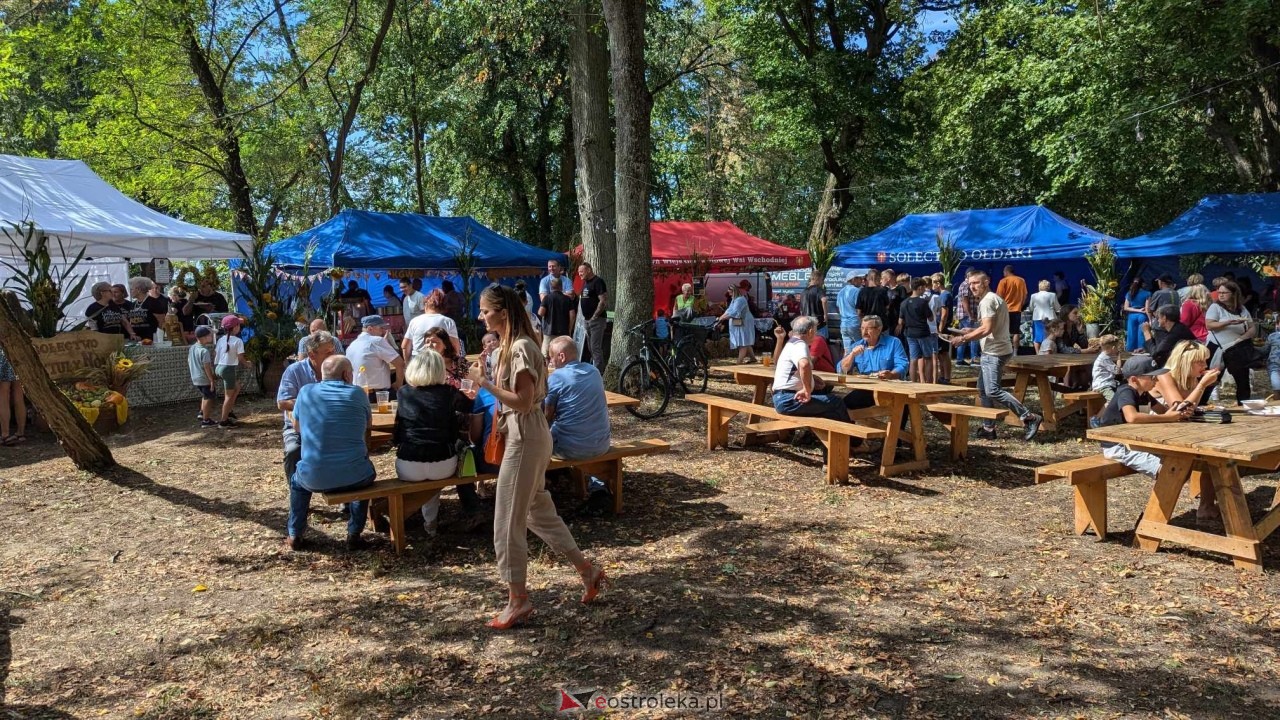 Świnia kontra Dzik w Przytułach Starych [11.08.2024] - zdjęcie #80 - eOstroleka.pl
